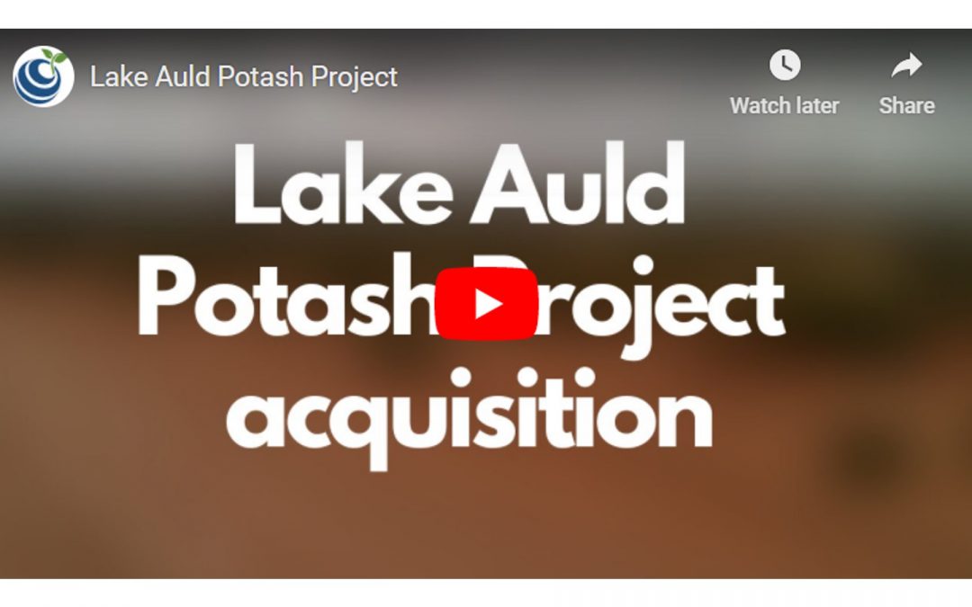 Lake Auld Video Update