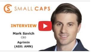 Small Caps Interview with Agrimin CEO, Mark Savich